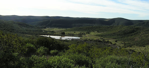 Goodan-Ranch-Sycamore-Canyon-Preserve