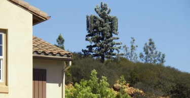 Cell Towers San Marcos
