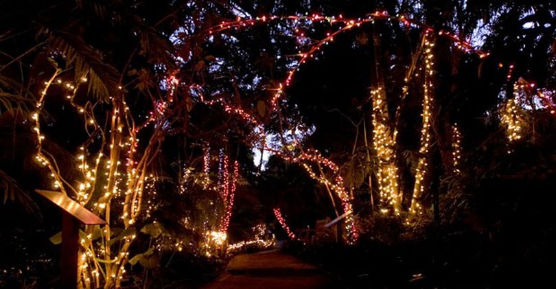 Garden-of-Lights-Botanic-Garden