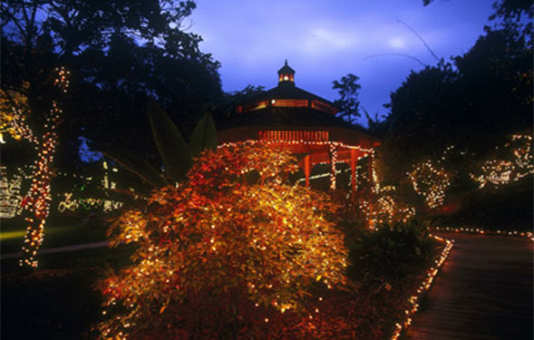 Lightscape Encinitas Garden of Lights at San Diego Botanic Garden