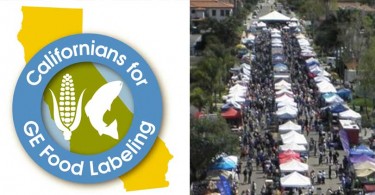 San-Marcos-Spring-Festival-Booth
