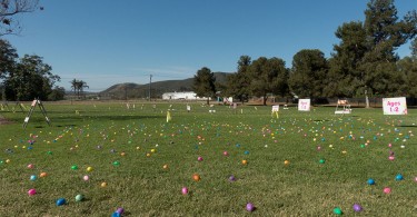 San Marcos Easter Egg Hunt
