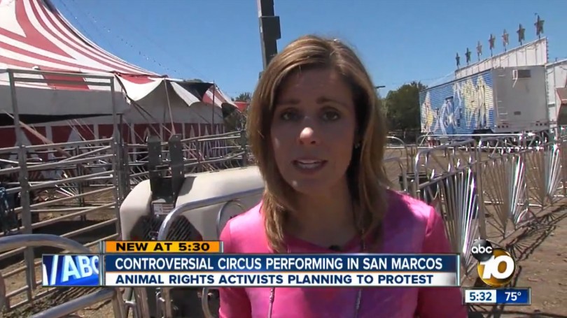 San-Marcos-Circus-10-News